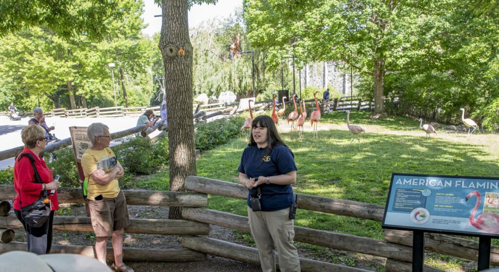 Flamingo zookeeper chatting with Zoo guests