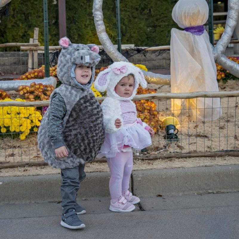 Boo at the Zoo 2022 Milwaukee County Zoo