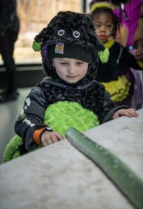 Young children dressed in costume looking at a snake on a table