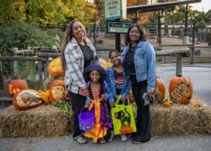 Boo guests standing in front of carved and decorated pumpkins
