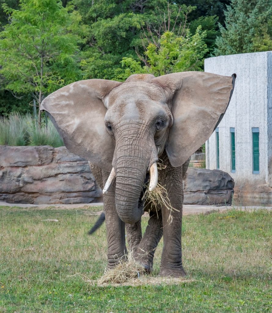 Wild Connections - Milwaukee County Zoo