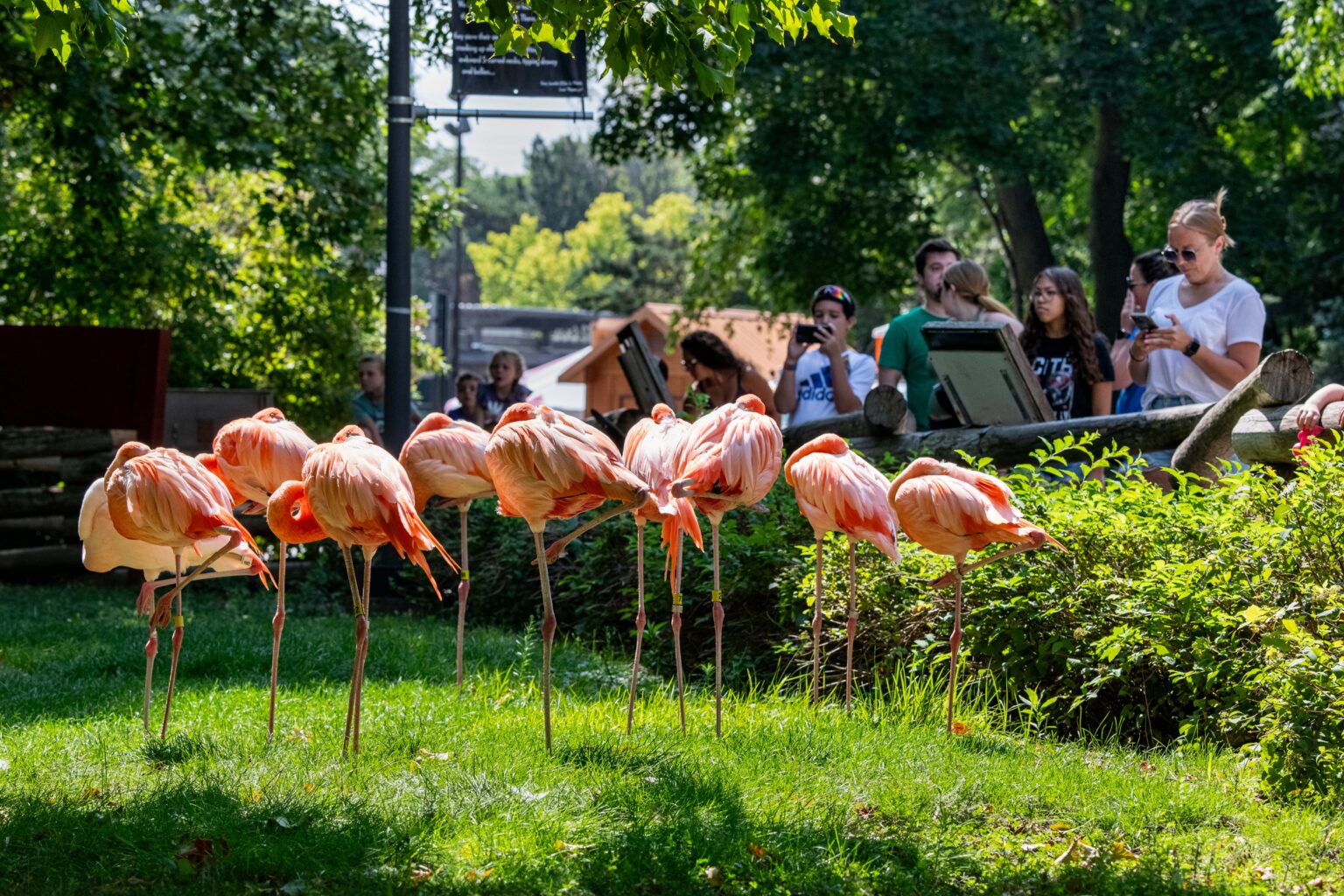 4 on the 4th Milwaukee County Zoo