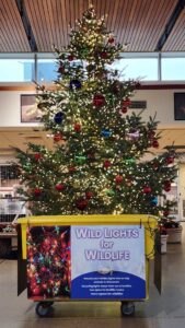 Wild Lights for Wildlife collection bin in front of a large lit tree