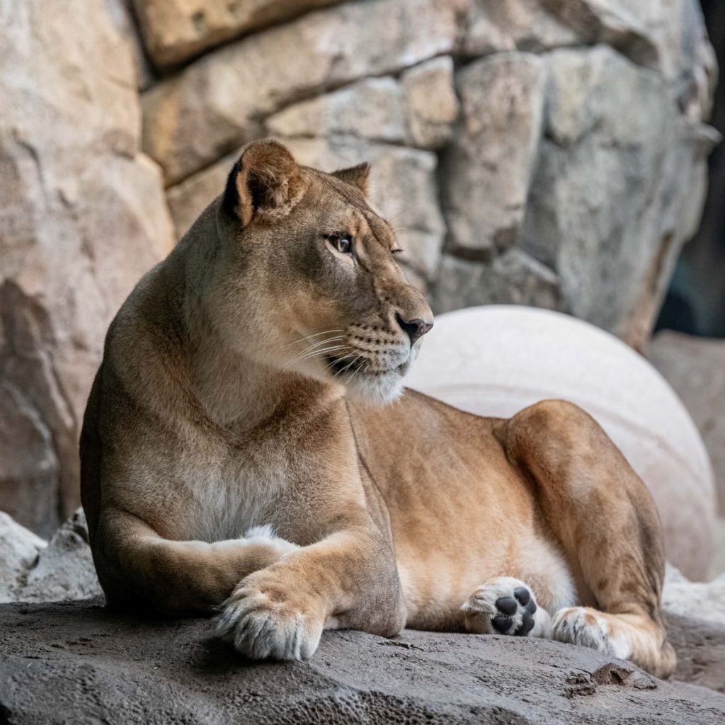 home-milwaukee-county-zoo