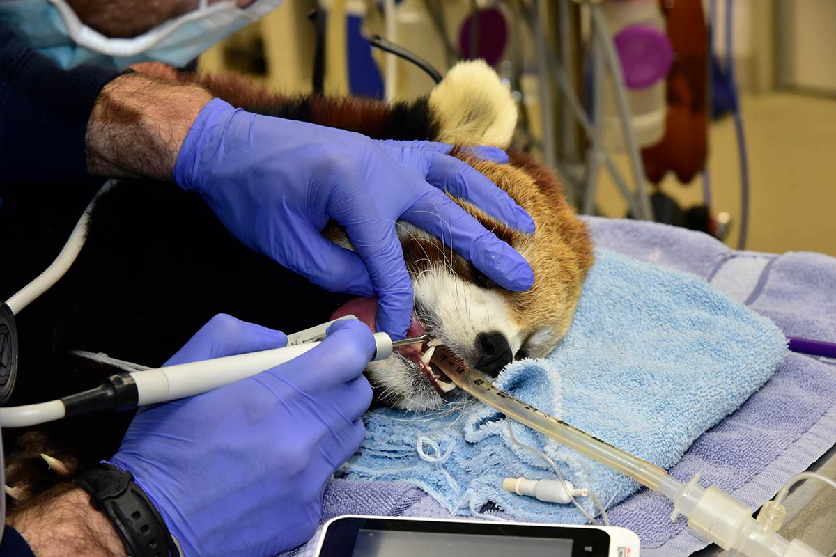 Animal Care Milwaukee County Zoo