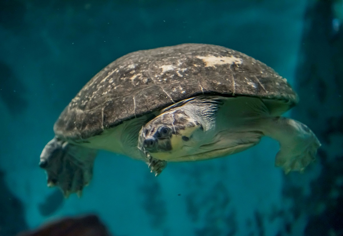 Wild Connections - Milwaukee County Zoo