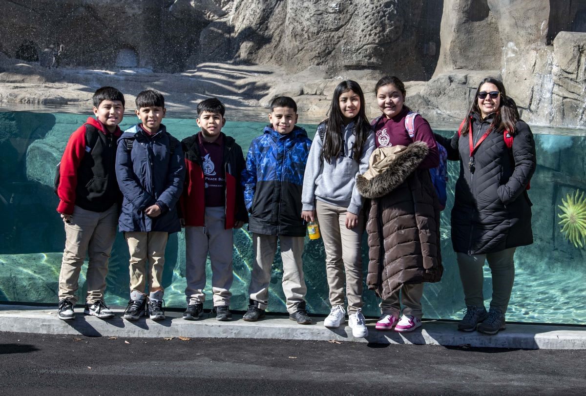 School group standing in front of the penguin habitat
