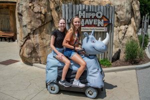 safari zoo rides