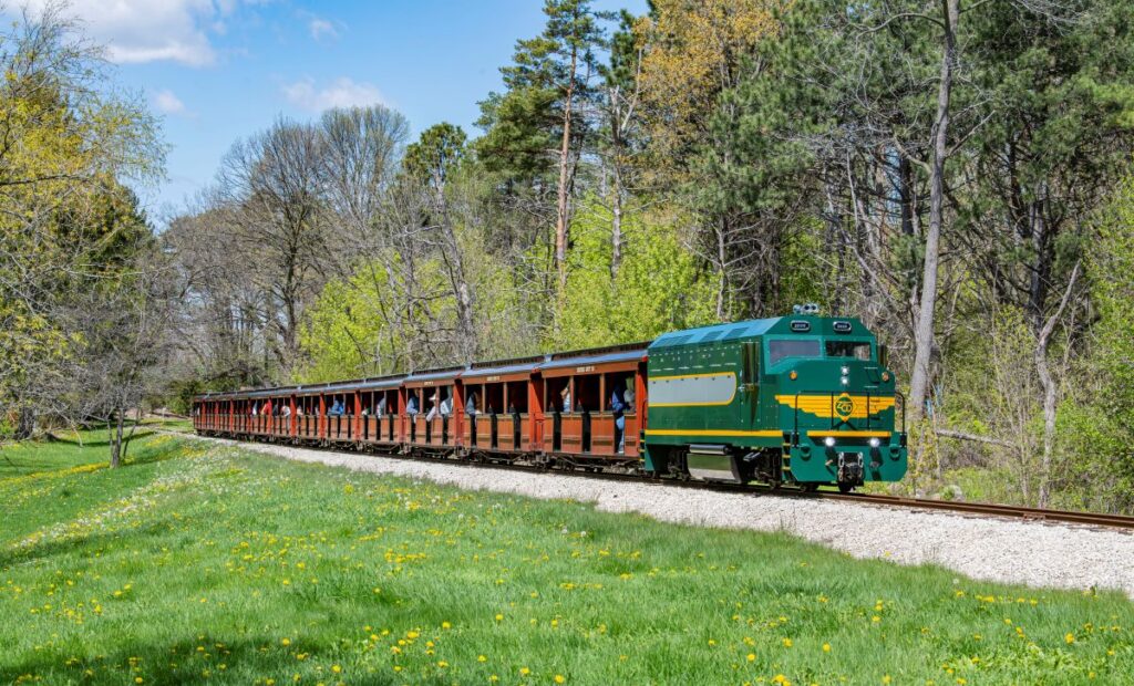 Zoo train driving through an outdoor clearing