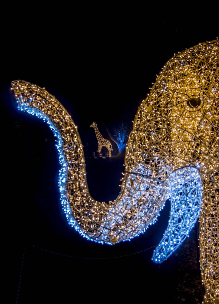 Illuminated elephant and giraffe sculptures at night