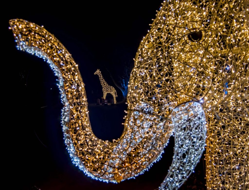 Wild Lights 2023 - Milwaukee County Zoo