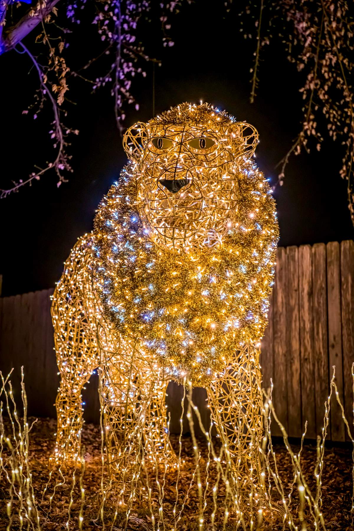 Wild Lights 2024 Explore Milwaukee County Zoo