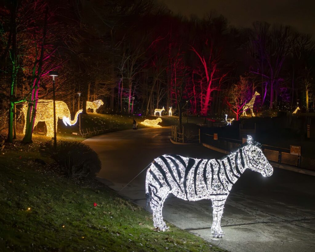 Large illuminated animal sculptures