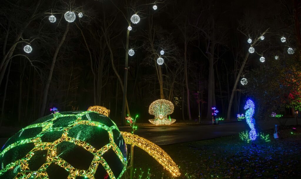 Large illuminated animal sculptures