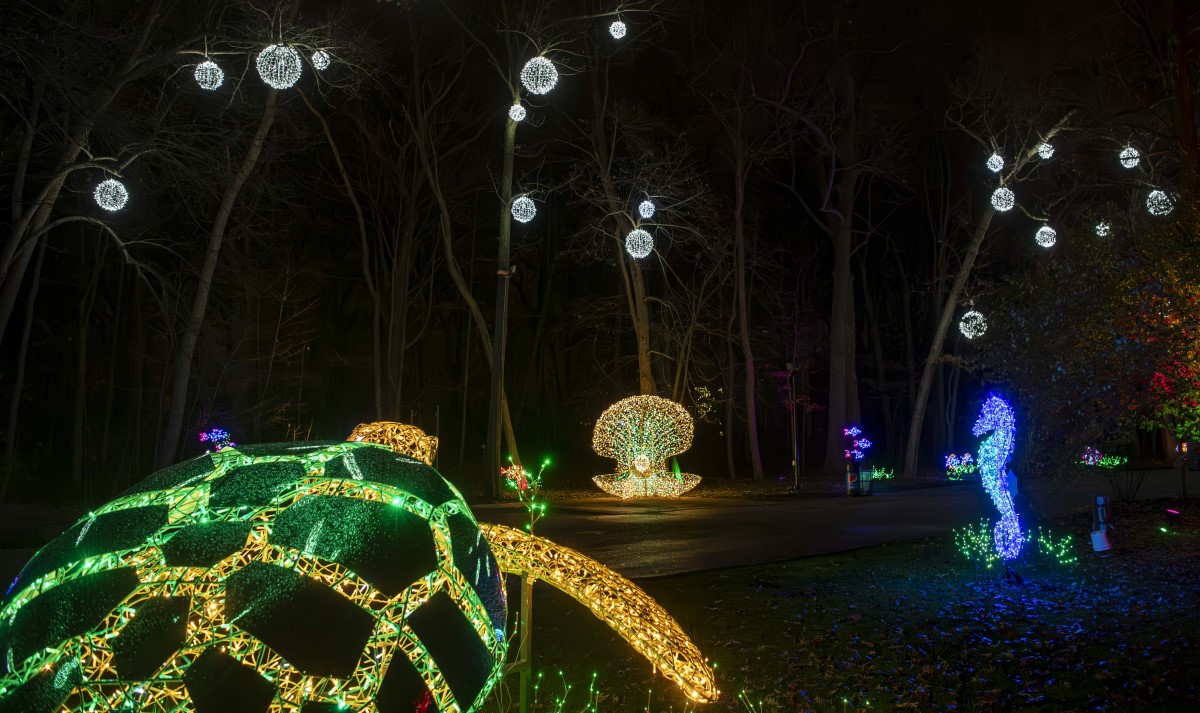 Large illuminated animal sculptures
