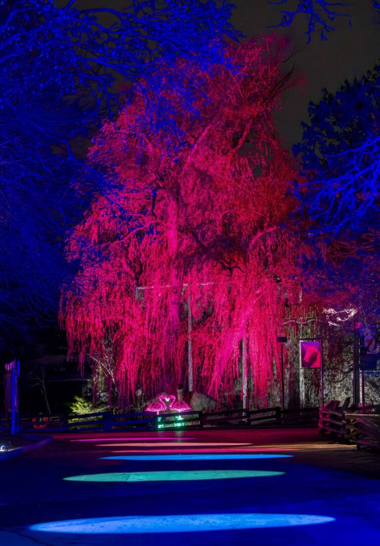 Wild Lights 2023 Shimmering Displays Milwaukee County Zoo