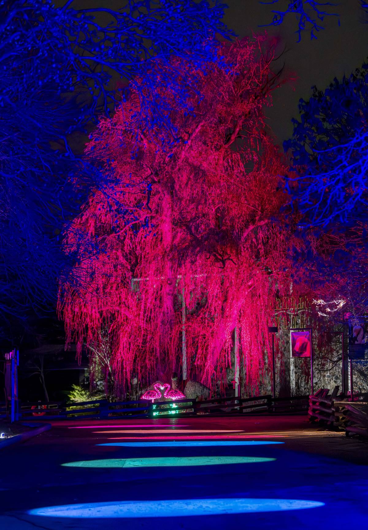 Wild Lights 2023 Shimmering Displays Milwaukee County Zoo