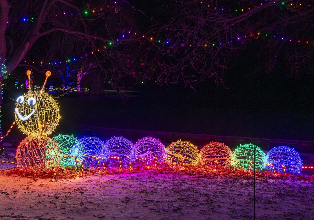 Large illuminated caterpillar sculpture