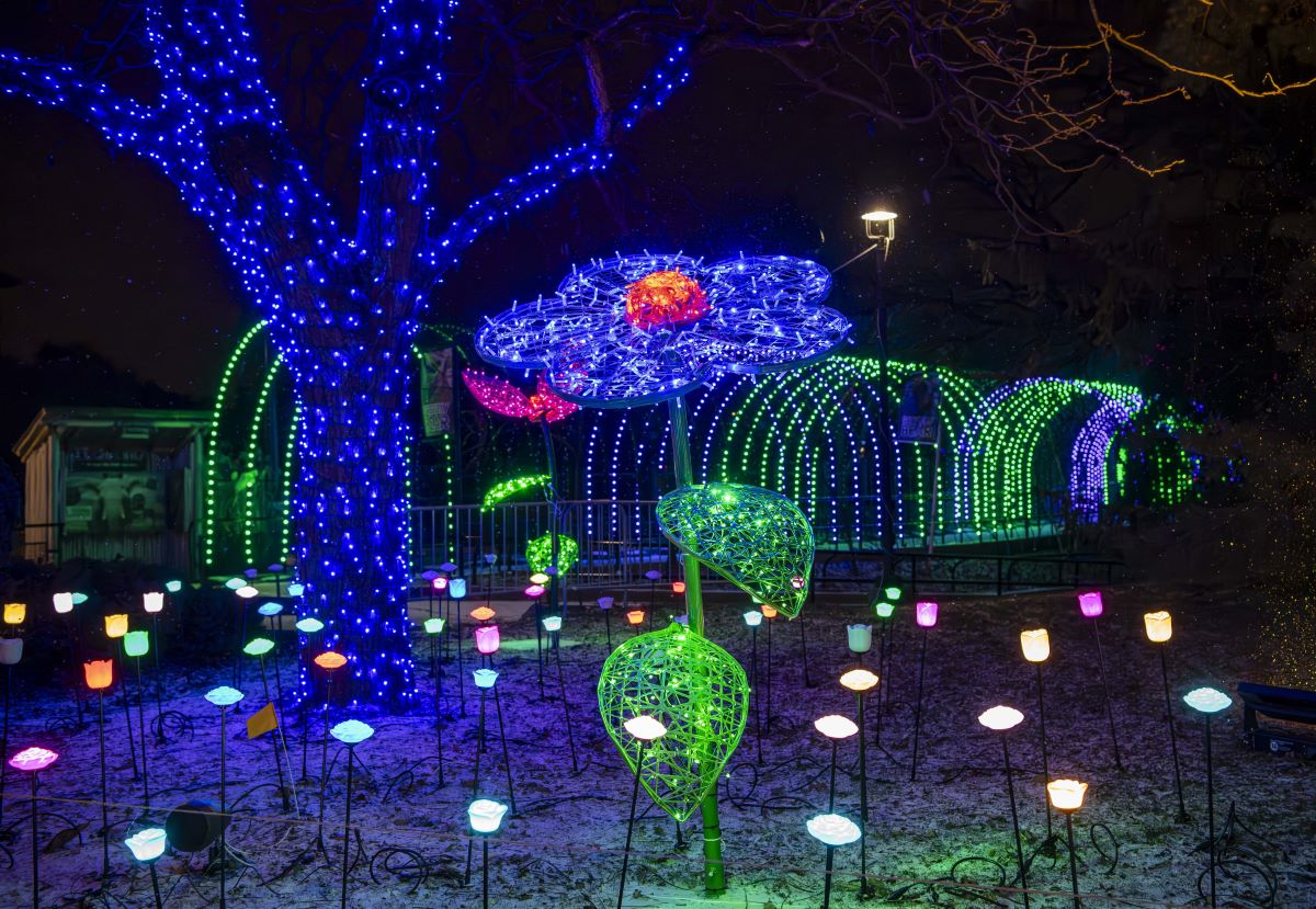 Large illuminated flower sculpture