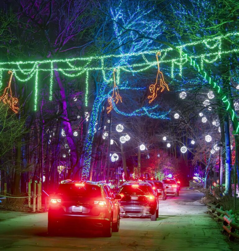 Cars driving through holiday lights display at night
