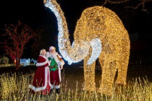 Santa and Mrs. Claus stand next to a giant illuminated elephant sculpture