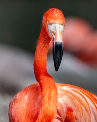 Home - Milwaukee County Zoo